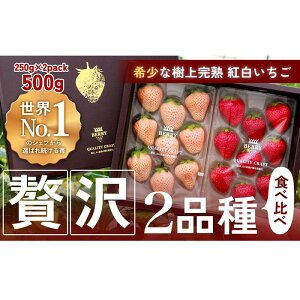 yӂ邳Ɣ[ŁzynNtgBERRYzLVFtpBygz㊮nڂEW 500gio2025N12{`2026N5{j | Hi HHi lC  