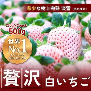 yӂ邳Ɣ[ŁzynNtgBERRYzCOZupBy㊮nzWi䂫j500gio2025N12{`2026N5{j | Hi HHi lC  