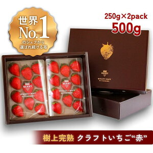 �y�ӂ邳�Ɣ[�Łz�y���n�N���t�g�BERRY�z�L���V�F�t��p�B�y���㊮�n�Ԃ������z��500g�i�o��2025�N12����{�`2026�N5�����{�j | �H�i ���H�H�i �l�C �������� ��������