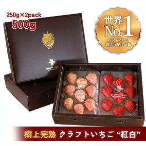 yӂ邳Ɣ[ŁzynNtgBERRYzLVFtpBy㊮n gZbgz500gio2025N12{`2026N5{j | Hi HHi lC  