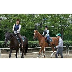 【ふるさと納税】体験乗馬1回コース(ドリンク付)