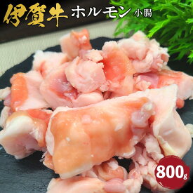 【ふるさと納税】伊賀牛 ホルモン（小腸）約800g | 肉 伊賀牛 牛肉 ホルモン 焼肉 食品 送料無料 楽天ふるさと 納税 返礼品 お取り寄せグルメ 取り寄せ お取り寄せ 三重県 伊賀市 三重 伊賀