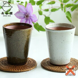 【ふるさと納税】長谷園 伊賀焼 ビアマグギフトセット グリーン&ホワイト　小 | 食器 テーブルウェア 日用品 人気 おすすめ 送料無料