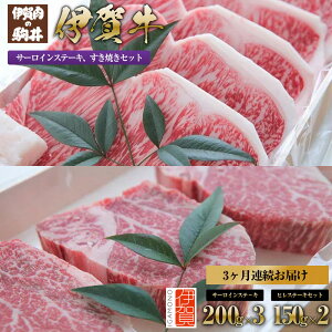 yӂ邳Ɣ[Łz3A͂ ɉꋍ T[CEqXe[LZbg |  ɉꋍ  ē Xe[L Hi Zbg lߍ킹   Mtg v[g  yVӂ邳 