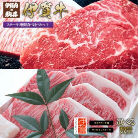 【ふるさと納税】伊賀牛 ステーキ 2種類食べ比べセット | 肉 伊賀牛 牛肉 焼肉 ステーキ 食品 セット 詰め合わせ 食べ比べ 贈答 ギフト プレゼント 送料無料 楽天ふるさと 納税 返礼品 お取り寄せグルメ 取り寄せ お取り寄せ 三重県 伊賀市 三重 伊賀
