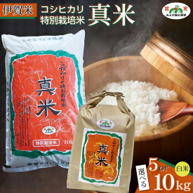 【ふるさと納税】伊賀米コシヒカリ特別栽培米「真米」白米　＜5kg～10kgから選べます＞ | 玄米低温貯蔵 出荷日精米 みえの安心食材 認定米 高級米 米 お米 白米 特別栽培米 ツヤツヤ モチモチ 冷めてもおいしい 産地直送 送料無料 お取り寄せ 三重県 伊賀市