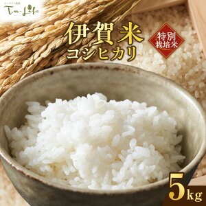 �y�ӂ邳�Ɣ[�Łz���ʍ͔|�āE�ɉ�ăR�V�q�J�� 5kg | �� ���� ���� ���ʍ͔|�� ���`���` ��߂Ă��������� ���ނ��� ���ٓ� �Y�n���� �������� �y�V�ӂ邳�� �[�� �ԗ�i �����񂹃O���� 