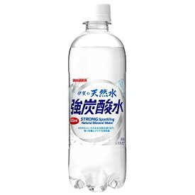 【ふるさと納税】 炭酸水 サンガリア 伊賀の天然水 強炭酸水2ケース（500ml×48本）【igge0001】
