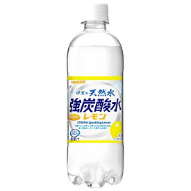 【ふるさと納税】 強炭酸水【レモン】サンガリア 伊賀の天然水 強炭酸水レモン2ケース（500ml×48本）【igge0004】