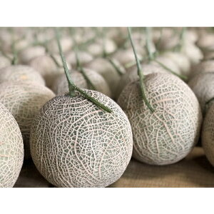 �y�ӂ邳�Ɣ[�Łz�ؑ]���Y�������u���u�R�[���v3�`4�ʃZ�b�g�@�ߘa8�N7��5����蔭���y1259101�z