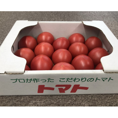 三重県有数のトマトの産地 最新 木曽岬町の生産者がこだわってつくったトマトです ふるさと納税 1274514 総合福袋 2kg 木曽岬産トマト