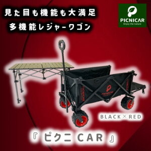 yӂ邳Ɣ[ŁzsNjCAR BLACK×RED 1+e[uSETy1323413z