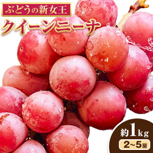 yӂ邳Ɣ[ŁzԂǂ NC[j[i 1kg 1kg 2~5[ ЃVO}T|[gs9{-11{oׁtOd  Ԃǂ uhE t[c ʕ ① ①