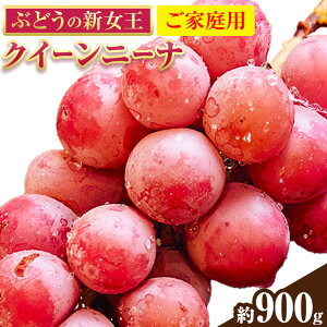 �y�ӂ邳�Ɣ[�Łz�y��s�\��z�y�񕍊z�������܂����z�Ԃǂ� ���ƒ�p �N�C�[���j�[�i ��900g ������ЃV�O�}�T�|�[�g�s9�����{-11����{���o�ׁt�O�d�� ������ �Ԃǂ� �u�h�E �t���[�c ��