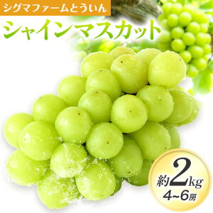 yӂ邳Ɣ[Łzys\zVC}XJbg 2kg 4~6[ ЃVO}T|[gs9{-10{oׁtOd  }XJbg Ԃǂ VC _Ag t[c ʕ ① 