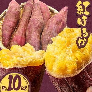 �y�ӂ邳�Ɣ[�Łz���܂��� �g�͂邩 �I�ׂ� ��2kg ��5kg ��10kg ������ЃV�O�}�T�|�[�g�s2026�N10�����{�]12�����{���ɏo�ח\��(�y���j����)�t�������� �T�c�}�C�� �O�d�� ������ ���َq ����