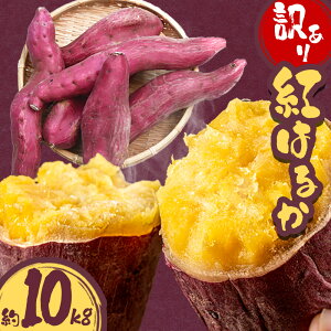 �y�ӂ邳�Ɣ[�Łz�󂠂� ���܂��� �g�͂邩 �I�ׂ� ��2kg ��5kg ��10kg ������ЃV�O�}�T�|�[�g�s2026�N10�����{�]12�����{���ɏo�ח\��(�y���j����)�t�������� �T�c�}�C�� �O�d�� ������ ����