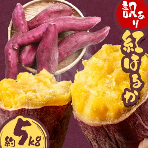 yӂ邳Ɣ[Łz󂠂 ܂ g͂邩 5kg ЃVO}T|[gs2025N10{-12{oח\(yj)t Tc}C Od  َq  g͂邩 