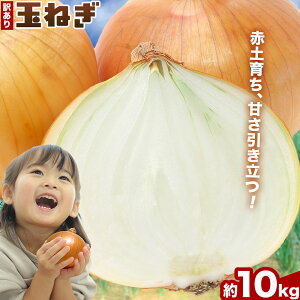 �y�ӂ邳�Ɣ[�Łz�����Ɏg���₷���I�Y�n�����󂠂� �ʂ˂� �I�ׂ� �� 2kg 5kg 10kg ������ЃV�O�}�T�|�[�g�s2026�N4�����{-6����{���o�ׁt�O�d�� ������ �ʂ˂� �ʔK �^�}�l�M ���܂˂� ��� 