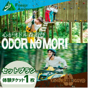 �y�ӂ邳�Ɣ[�Łz�I�h���̐X �Z�b�g�v�����y�J���V�J�o�M�[+�t�H���X�g�A�h�x���`���[�z1���l���p���y1672988�z