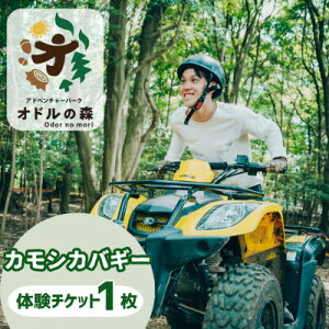 �y�ӂ邳�Ɣ[�Łz�I�h���̐X�@�J���V�J�o�M�[�@1���l���p���y1673010�z