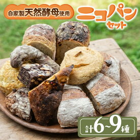 【ふるさと納税】カラダヨロコブ天然酵母のニコパンセット 選べる容量（計6~9種） 天然酵母 無添加 スイーツ お菓子 ギフト お取り寄せ 無農薬 国産 健康 もっちり 詰め合わせ オーガニック 朝食 三重県多気町 NP-P-01