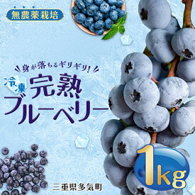 【ふるさと納税】　無農薬栽 冷凍完熟ブルーベリー1kg 果物 くだもの フルーツ 完熟 冷凍 ブルーベリー ジャム ピューレー スムージー シロップ 国産 農薬無使用 おいしい ビタミン 食物繊維 ミネラル 三重県 多気町 FR-01