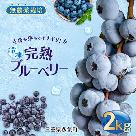 【ふるさと納税】　無農薬栽培 冷凍完熟ブルーベリー2kg 果物 くだもの フルーツ 完熟 冷凍 ブルーベリー ジャム ピューレー スムージー シロップ 国産 農薬無使用 おいしい ビタミン 食物繊維 ミネラル 三重県 多気町 FR-02