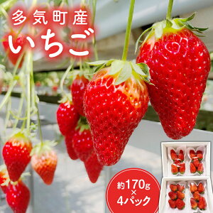 yӂ邳Ɣ[ŁzCY 170g×4p C`S  ͕P  gق CN-01