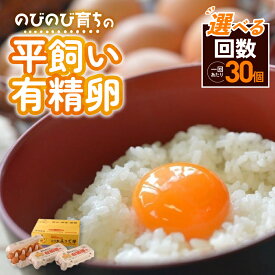 【ふるさと納税】のびのび育ちの平飼い有精卵 30個～90個 （10個入×3P） 選べる回数 1回 3回 6回 定期便 平飼い 有精卵 たまご 卵 玉子 タマゴ 卵 鶏卵 オムレツ 卵 卵かけご飯 たまご焼き 国産 すき焼き 卵 三重県 多気町 JK-P-01