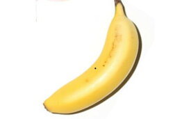 【ふるさと納税】平均糖度25度以上 国産 無農薬 皮ごと食べられる「ともいき伊勢バナナ」tf-01