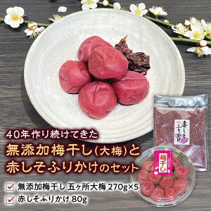 yӂ邳Ɣ[Łz40N葱ĂY~i~jƐԂӂ肩̃Zbg ~ ߂ڂ ς ς h V\  ٓ т̂ Od C TH]03