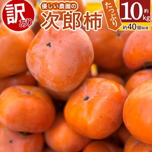 yӂ邳Ɣ[Łzyߘa7NY`/s\zD_̖󂠂莟Y` 10kg Y` ˂Ȃ `  t[c ƒp 󂠂 KiO 킯 s ӂ낢 Ȃ ` s s\ 