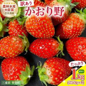 yӂ邳Ɣ[Łz1kg (250g×4) _ѐYb܎ܔ_炨͂yAzij/ C`S  Od C ISH-02
