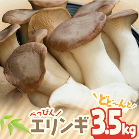 【ふるさと納税】 べっぴん エリンギ ！ どどーんと 3.5kg！ | えりんぎ きのこ キノコ 国産 生 tn-01