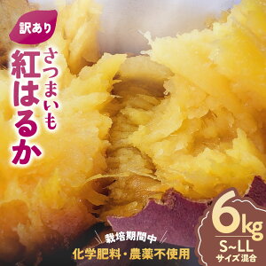 �y�ӂ邳�Ɣ[�Łz��󂠂�� �͔|���Ԓ��A���w�엿�E�_��s�g�p�@�������ʃK�X�팸�ɍv�����Ȃ���A�̂ǂ��Ȕ��ő�؂Ɉ�Ă��@�L�Y����@�T�c�}�C���i�g�͂邩�j6kg�@S�`LL�T�C�Y���� 