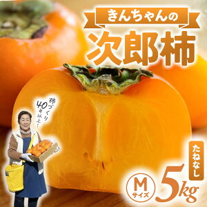 yӂ邳Ɣ[Łz`Â40NI񂿂_̑CYY` 5kg Y` ˂Ȃ `  t[c ` s s\ Od C KCN-01