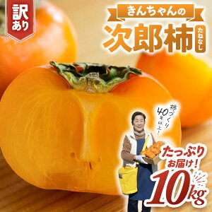 yӂ邳Ɣ[Łz`Â40NI񂿂_̖󂠂莟Y` 10kg Y` ˂Ȃ `  t[c ƒp 󂠂 KiO 킯 s ӂ낢 Ȃ ` s s\ Od 