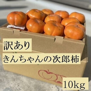 yӂ邳Ɣ[Łz`Â40NI񂿂_̖󂠂莟Y` 10kg Y` ˂Ȃ `  t[c ƒp 󂠂 KiO 킯 s ӂ낢 Ȃ ` s s\ Od 