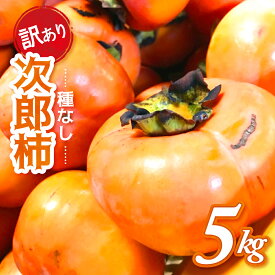 【ふるさと納税】【令和7年産柿/先行予約】《 訳あり 》5～10kg 次郎柿 たねなし 柿 かき フルーツ 家庭用 訳あり 規格外 わけあり 不揃い ふぞろい 種なし 干し柿 先行 先行予約 三重県 多気町