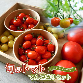 【ふるさと納税】旬の トマト てんこ盛りセット　pf-01 国内産 野菜 ポモナファーム