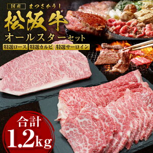yӂ邳Ɣ[Łz㋍ I[X Ăp 400g IJr Ăp 400g IT[C Xe[Lp 400g(200g×2) Y a uh   lC  {Oa ⋍ 