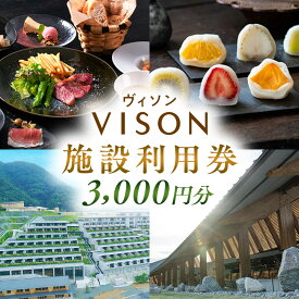 【ふるさと納税】 日本最大級の商業リゾート VISON 施設利用券 3,000円分 ／ ヴィソン ギフト券 ギフト 宿泊券 補助券ホテル 補助券 ホテル 温泉 宿泊 マルシェ ペット キャンピングカー アウトドア 体験 観光 旅行 子連れ 金券 BBQ 伊勢 東海 国内 三重県 多気町 VT-01