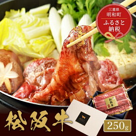 【ふるさと納税】 【和牛セレブ】 松阪牛 焼肉 ・ 焼きすき （肩ロース） 250g 肉 牛 牛肉 和牛 ブランド牛 高級 国産 霜降り 冷凍 ふるさと 人気 焼肉　焼肉用 BBQ バーベキュー すき焼き 焼きすき 肩ロース ロース やわらかい