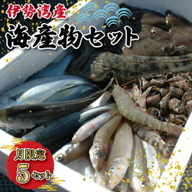【ふるさと納税】 伊勢湾産 海産物セット 魚 貝 干物 海藻 新鮮 詰め合わせ セット 海鮮 海産 直送 海 漁師 おまかせ 旬 季節 お楽しみ K5