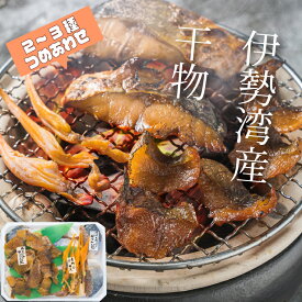 【ふるさと納税】 干物 詰め合せ 貝 魚介 魚貝 海鮮 新鮮 人気 高級 珍味 おつまみ 干物 バカガイ アオヤギ 穴子 あなご アナゴ カレイ みりん干し I9