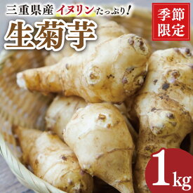 【ふるさと納税】 生 菊芋 1kg イヌリン 国産 糖質 有機 血糖値 体型 血圧 いも イモ 芋 菊芋茶 菊芋チップス SDGs エコ サスティナブル 生菊芋 素揚げ 野菜