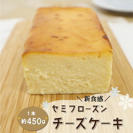 【ふるさと納税】 新食感 トンカ豆 香る セミフローズン チーズケーキ 450g ふるさと ふるさと納税 人気 お菓子 洋菓子 おやつ スイーツ おすすめ セレクト チーズケーキ 定番 フローズン ご褒美 半解凍 トンカ 香り パティスリーパパ