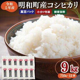 【ふるさと納税】 三重県産 山本農産のお米 750g × 12袋 真空パックでお届け コシヒカリ ふるさと納税 ふるさと 米 コメ こめ おこめ 贈答 贈り物 御祝い お祝い返礼品 人気 お取り寄せ 三重米 お米 新米 白米 精米 ブランド米 国産 皇室献上米 小分け 真空 保存