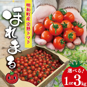 yӂ邳Ɣ[ŁzaY n g}g ق܂ Iׂ 1kg 3kg ~jg}g ̂ VN N  